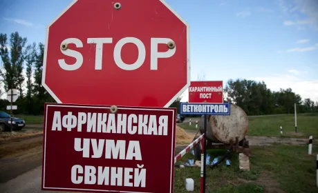 Боротьбу з АЧС посилять законодавчо