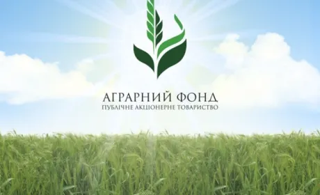 Аудит Агрофонду: втрачені активи на 2 мільярди