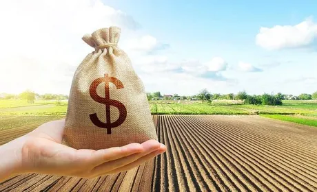 Підвищення податків доцільне лише до кінця війни, – Денис Марчук