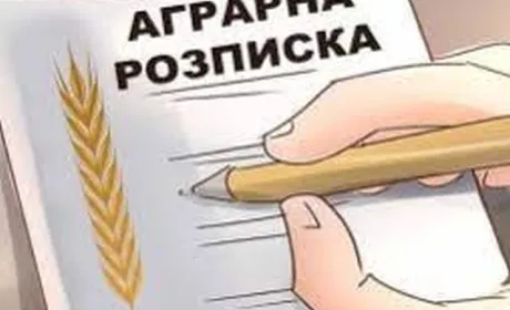Верховна Рада розгляне законопроєкт про електронні аграрні розписки