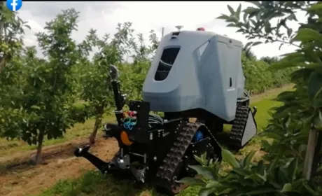На фруктовій фермі почали випробовування польського робота — Agribot