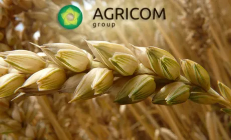 Agricom Group: Фермерам потрібні не кооперативи, а кластери