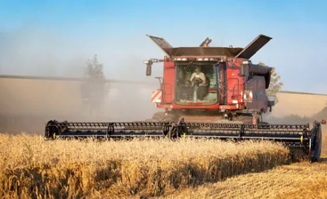 За п'ять років обсяг інвестицій в агросектор України зріс на 65%