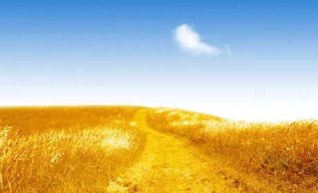 База даних AgroChart буде доступна і для українських аграріїв