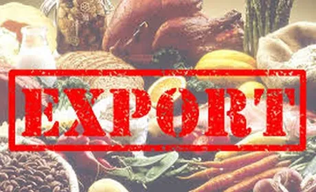 Агроекспорт з України до Ірану припиняється через конфлікт США та Ірану