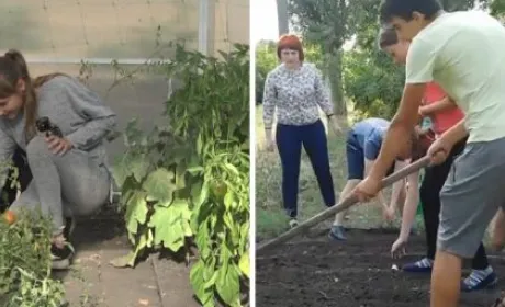 На Донеччині школярі відкрили агрохаб