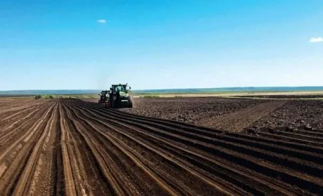 Побоювання, що великі агрохолдинги скуплять переважну частину земель, не справдились, – аналітик