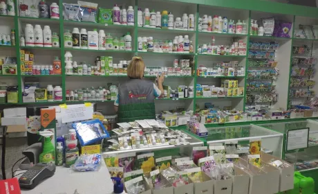 Лише 19% українських аграріїв повністю забезпечені добривами, насінням та ЗЗР — опитування