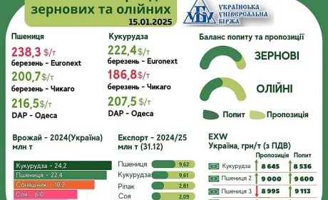 Тренди на ринку зернових та олійних з 6 по 14 січня від AgroMarket UUB