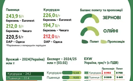 Тренди на ринку зернових та олійних з 27 січня по 4 лютого