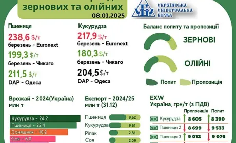 Тренди на ринку зернових та олійних з 30 грудня по 7 січня