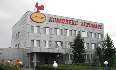 Суд закрив справу про банкрутство власника "Гаврилівських курчат"