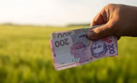 UkraineInvest дослідив нові інвестиційні можливості агропереробного сектору України