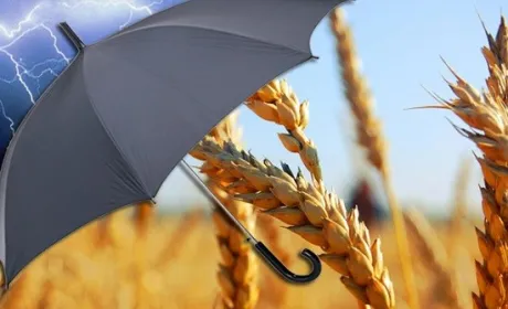 На Черкащині стартувала інноваційна програма агрострахування