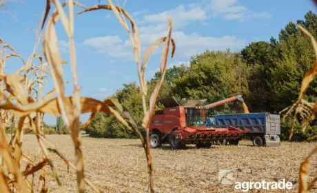 Група АГРОТРЕЙД планує збільшити площу посівів під озимою пшеницею