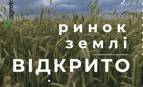 «Агротрейд» у перший день відкриття земельного ринку придбав 15 гектар
