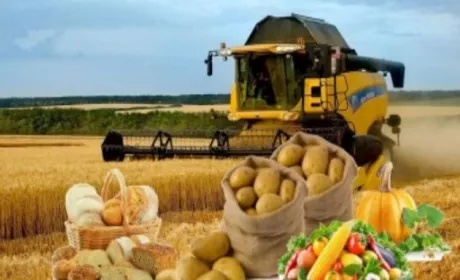 На Вінниччині майже в 1,7 рази зросло виробництво агропродукції