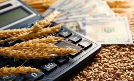 Як війна вплинула на акції українських аграрних компаній