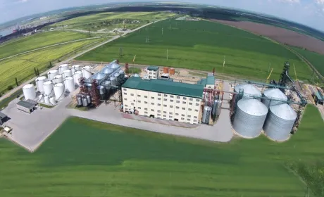Нідерландський банк розвитку FMO і Diligent Capital Partners (DCP) стали акціонерами Allseeds