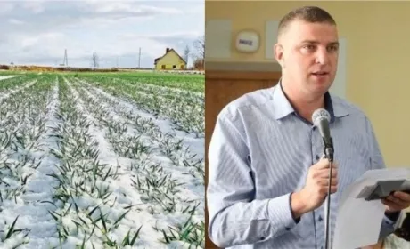 Можемо залишитися без врожаю, — голова асоціації фермерів Рівненщини