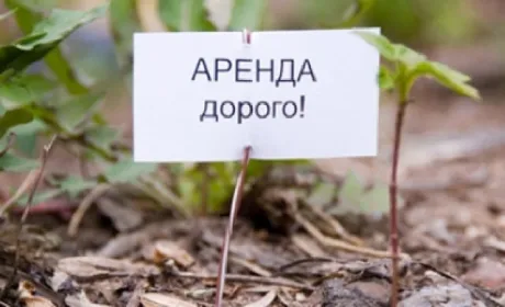 На Полтавщині - одна з найвищих плат за оренду гектара земельного паю