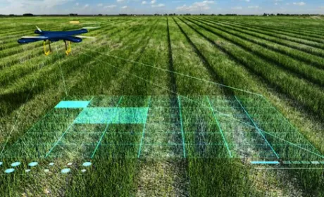 Штучний інтелект слідкує за 95% полів Agricom Group
