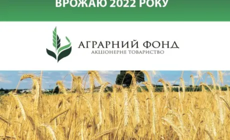 АТ «Аграрний фонд» розпочав закупівлю зерна врожаю 2022 року
