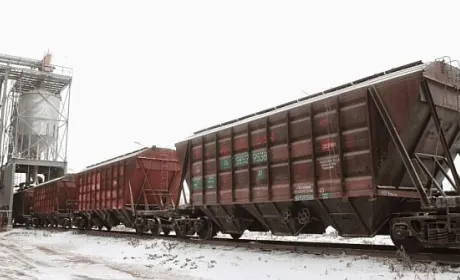 Наступного тижня Укрзалізниця виставить на аукціон 700 зерновозів