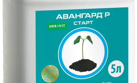 Осінні «помічники» для врожайності зернових