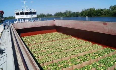 Ціни на кавуни досягли сезонного мінімуму