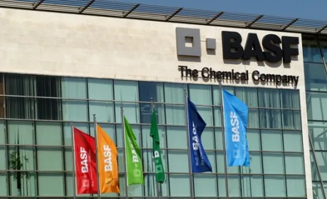 Basf розповів про пріоритетні напрямки розвитку технології Clearfield®