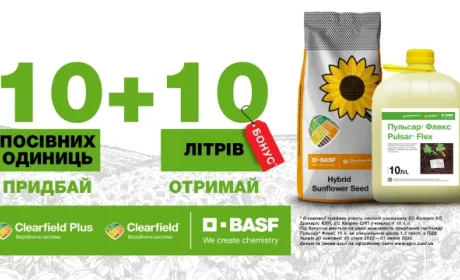 BASF за купівлю насіння соняшника подарує 10 л Пульсар® Флекс