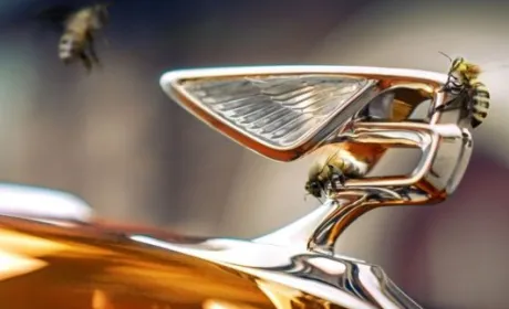 Bentley — це не тільки дорогі автомобілі