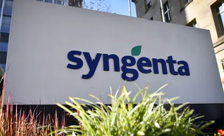 За програмою «МетеоЗахист» компанії Syngenta аграрії отримали 44 млн грн.