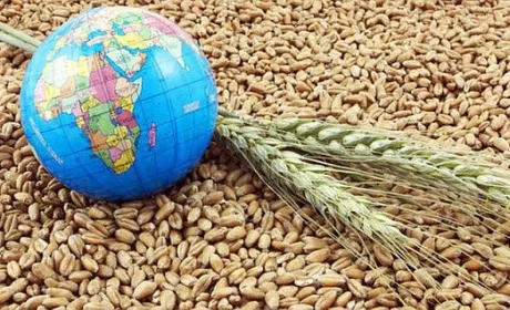 Для безпеки експорту важливе значення має міжнародна спільнота, – Денис Марчук