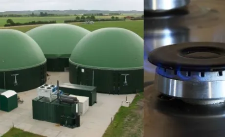 У Ладижині побудують біогазовий завод