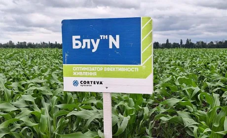 Оптимізатор ефективності живлення Блу™ N від Corteva Agriscience покращує врожайність польових культур – результати досліджень