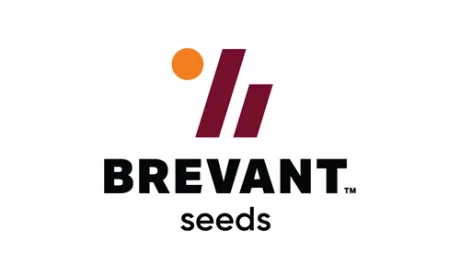 Портфель озимого ріпаку Pioneer® переходить до бренду Brevant™