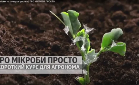 «Про мікроби просто» від БТУ-ЦЕНТР: вийшла нова серія