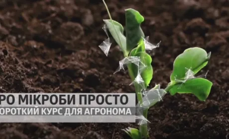 БТУ-ЦЕНТР: вийшла нова серія «Про мікроби просто»