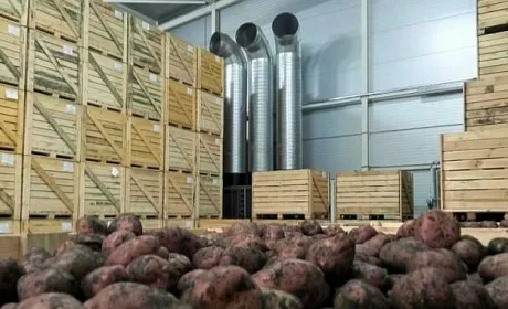 Мінагрополітики хоче залучити інвестиції в будівництво овочесховищ