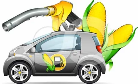 Автомобілі на паливі з біомаси – вже в 2020р.