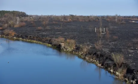 У зоні відчуження ЧАЕС незаконно приватизували 2 га землі