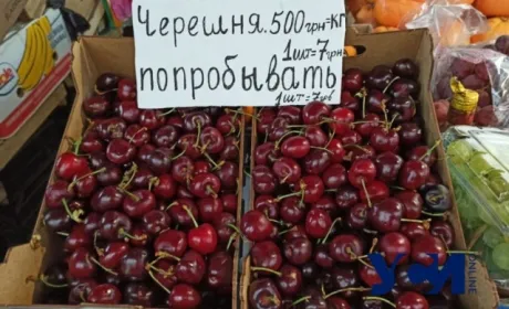 Винахідливі ділки продають черешню поштучно в Одесі
