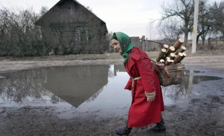 Мінекології вирішило, як використовувати землі в радіаційній зоні Чорнобиля