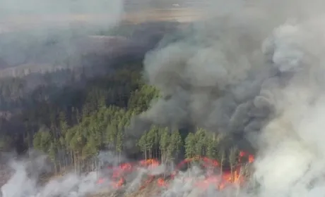 План WWF. Що може зробити влада України для зниження ризиків природних супер-пожеж