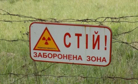 У Чорнобильській зоні агропідприємство збирало радіоактивний урожай
