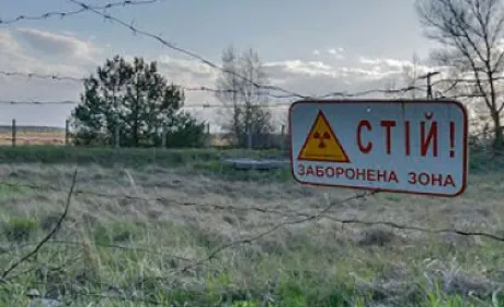 В Україні проведуть інвентаризацію земель Чорнобильської зони