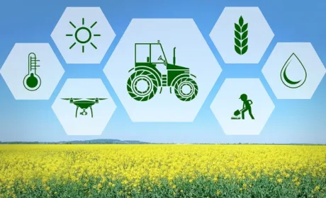 Цифрове сільське господарство суттєво скоротить викиди парникових газів
