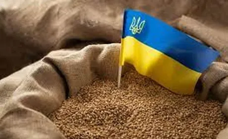 Наше зерно дешеве, тому що Україна не є членом ЄС, – Іван Слободяник